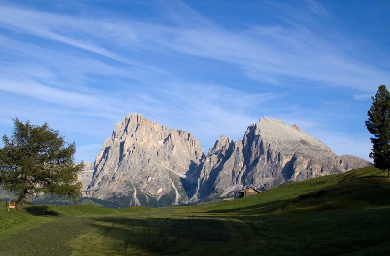 Apartment Villa Stefania Selva di Val Gardena Dış mekan fotoğraf